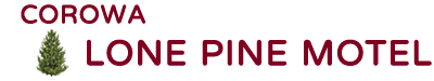 logo1